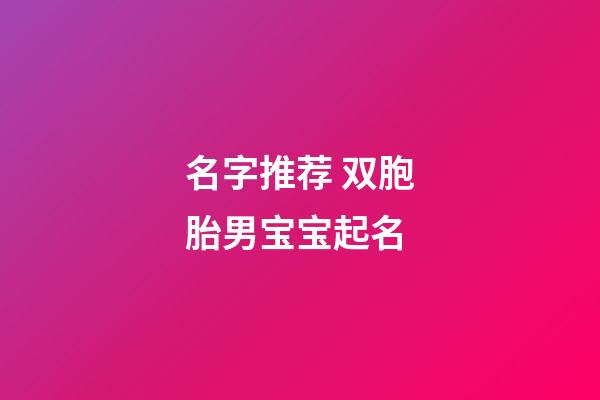 名字推荐 双胞胎男宝宝起名